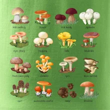 Atlas hub - triko s houbami