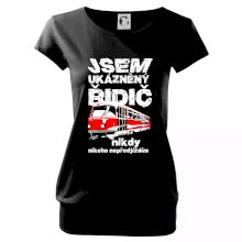 Jsem ukázněný řidič - tramvaj