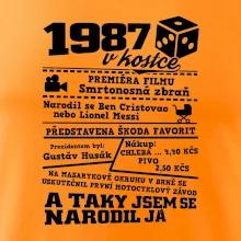 1987 v kostce