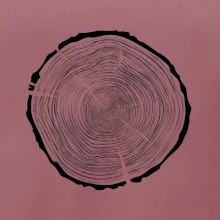 Letokruhy 85 bez věku