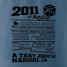 2011 v kostce