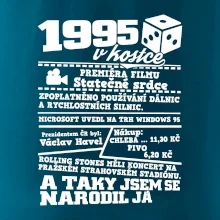 1995 v kostce