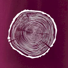 Letokruhy 75 bez věku