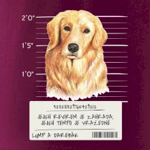 Lump a darebák zlatý retrívr