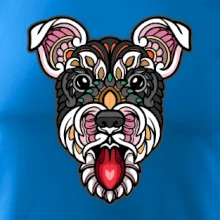 Knírač hlava barevná