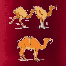 Pravda o velbloudech