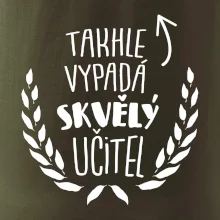 Takhle vypadá skvělý učitel
