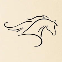 Kůň - bežící silueta hlavy