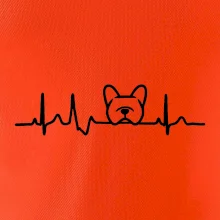 EKG Francouzský buldoček hlava