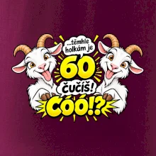 Těmhle holkám je 60, čučíš co?