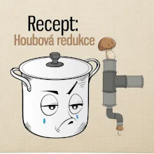 Recept houbová redukce