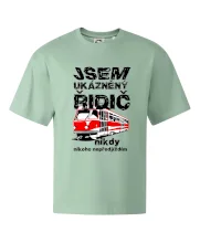 Jsem ukázněný řidič - tramvaj