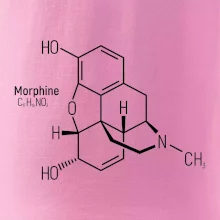 Molekulární struktura Morfin