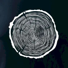 Letokruhy 70 bez věku