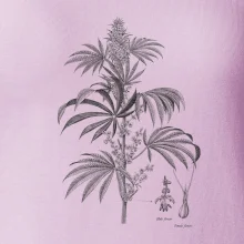 Konopí kytka černobílá