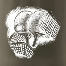 Ping pong pálky a síť