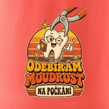 Odebírám moudrost na počkání