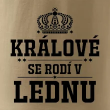 Králové se rodí v lednu