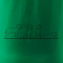 Lagotto romagnolo postavy linka