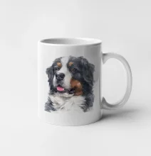 Bernský salašnický pes - hlava vodová barva