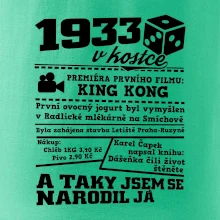 1933 v kostce