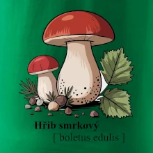 Hřib smrkový - Boletus edulis kreslený