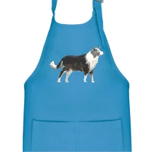 Border kolie kreslená