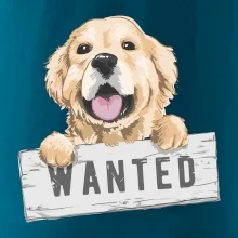 Zlatý retriever - štěně wanted