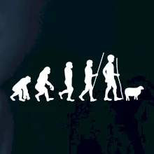 Evoluce pastevec ovcí