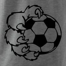 Medvědí tlapa fotbal