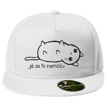 Já za to nemůžu