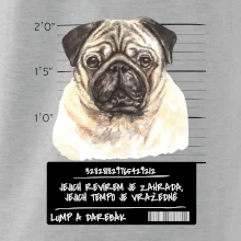 Lump a darebák mopsík Lump a darebák mopsík