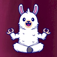 Yoga meditace - lama