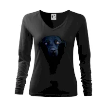 Černý Labrador fotka