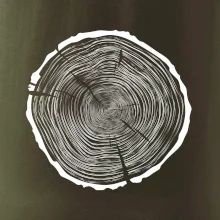 Letokruhy 85 bez věku