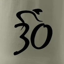 Cyklista slaví třicítku (30)