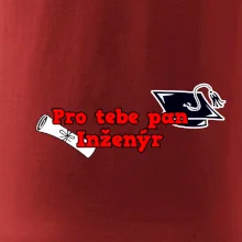 Pro tebe pan Inženýr