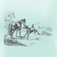 Kůň a hříbě malované