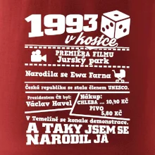 1993 v kostce