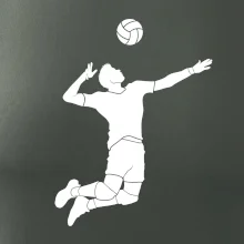 Volejbal nápřah muž