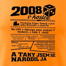 2008 v kostce