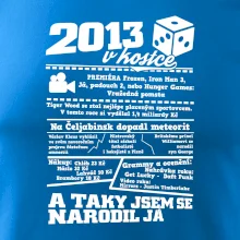 2013 v kostce