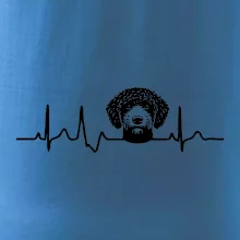 Lagotto romagnolo hlava EKG