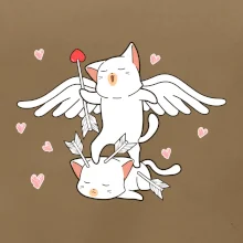 Kočky Amorův šíp