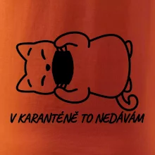 V karanténě to nedávám