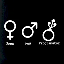 Muž žena programátor