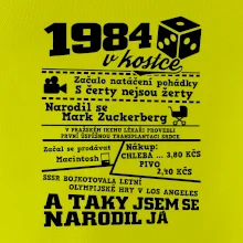 1984 v kostce