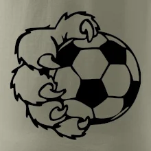 Medvědí tlapa fotbal