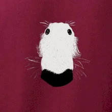 Barzoj čumák (Moňas)