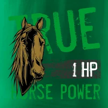 True Horse Power 1 HP